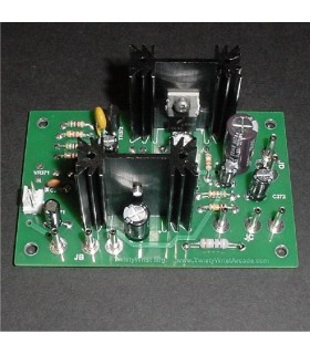 Nintendo Audio Amplifier 